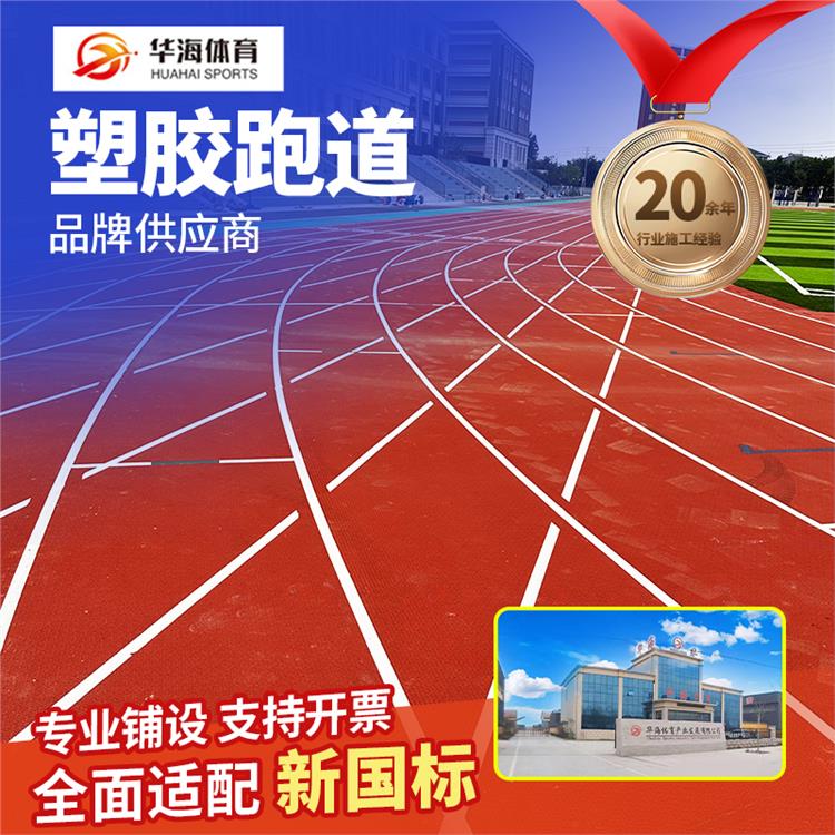 乐山市半预制塑胶跑道预制型橡胶跑道 - 厂家